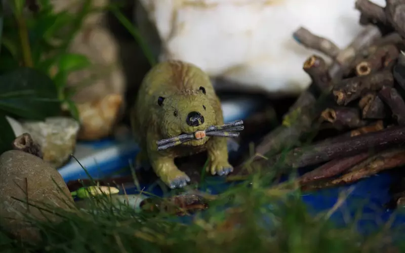 喜欢上一个有家庭的男人，我该不该等他离婚，再嫁给他？