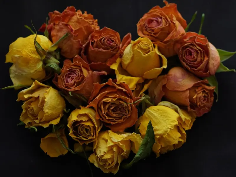 我爱你，就该终身不娶吗？