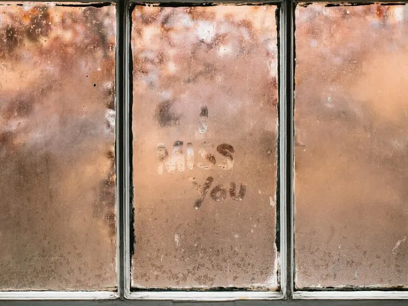 如果我真的从此不再联系你，你会想我吗？