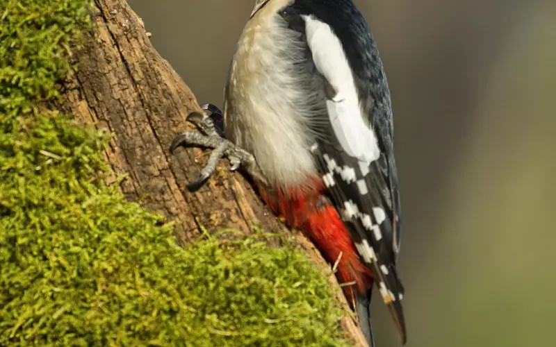 “要不是为了他，我早就离婚”