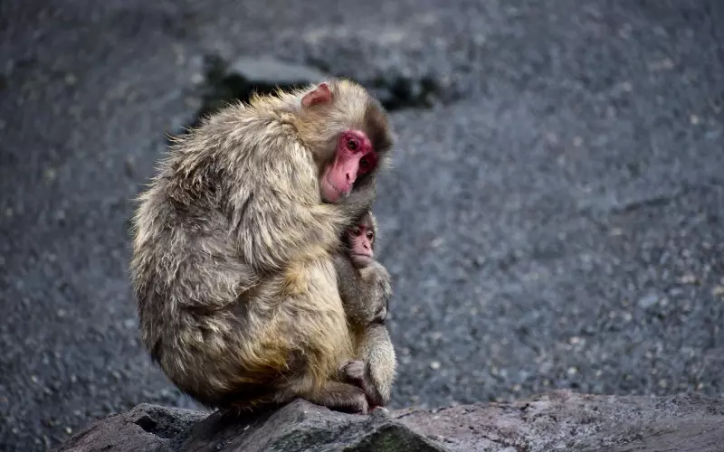 父母再婚的，子女有赡养义务吗？