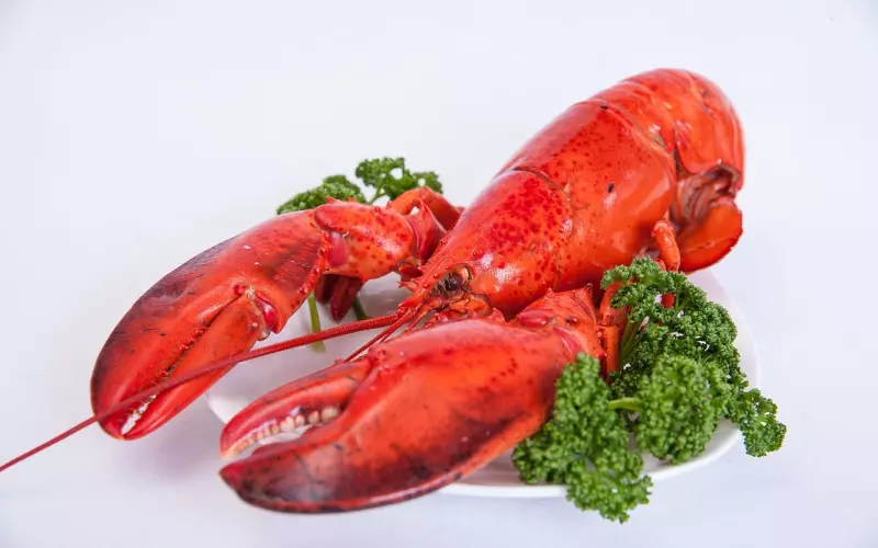 是不是好女人，和她出去吃吃饭就知道了！