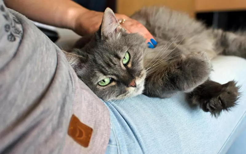 一个人在不在乎你，一眼便知