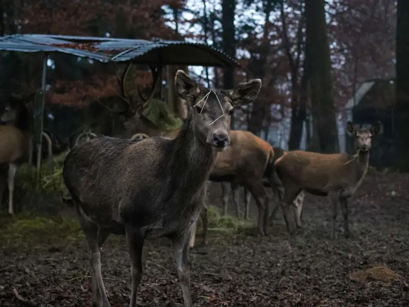 对方不珍惜我的付出，如何逆转局势？