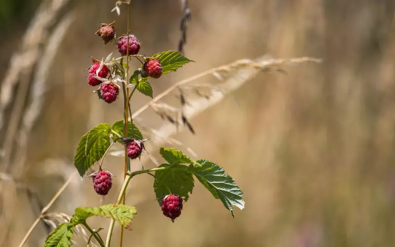 对方的态度如果反反覆覆