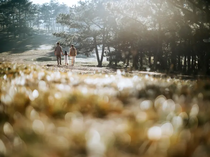 对方有家庭，我还能一直爱下去吗？