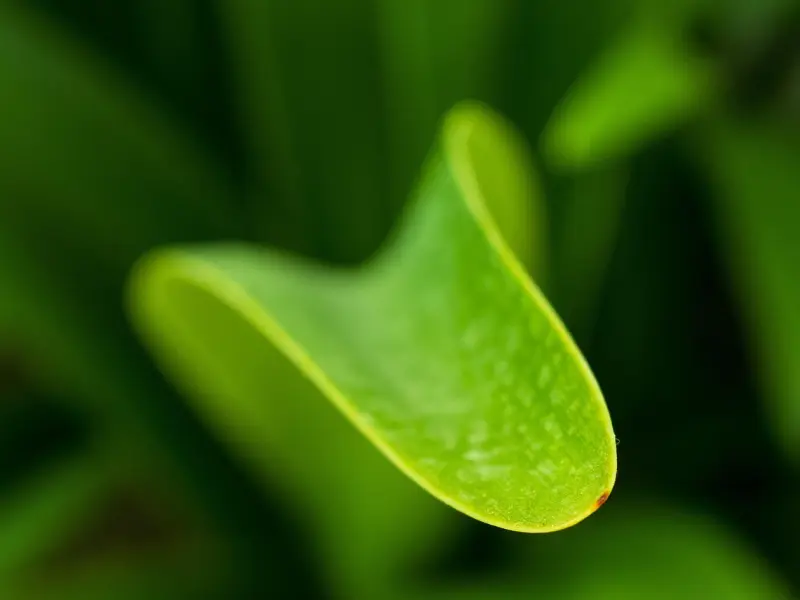 两个人如果有感觉了，是不是就不会在乎年龄了