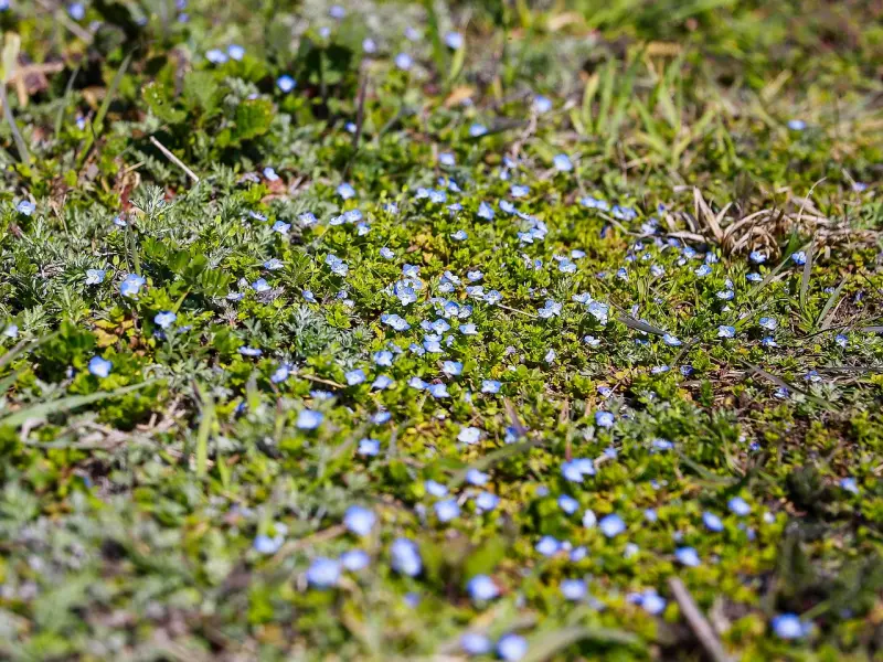 如果两个相爱的人，注定做不成夫妻，还能做什么？