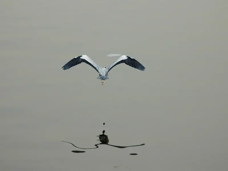 如果两个有家庭的人，彼此深爱，请记住这几句话！