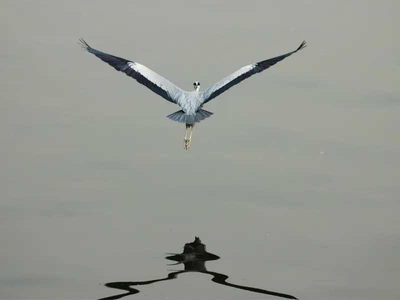 如果两个有家庭的人，彼此深爱，放不下，忘不掉