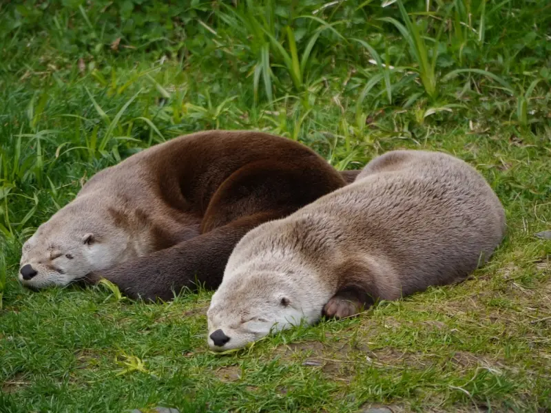 不小心发生了关系，女人你该怎么办？
