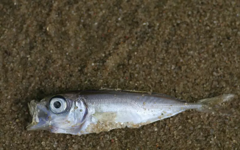 不小心踩了这些挽回陷阱，你的挽回就死翘翘了