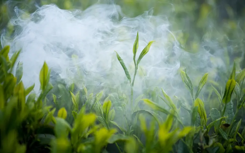 你若屌丝，看谁都是绿茶婊