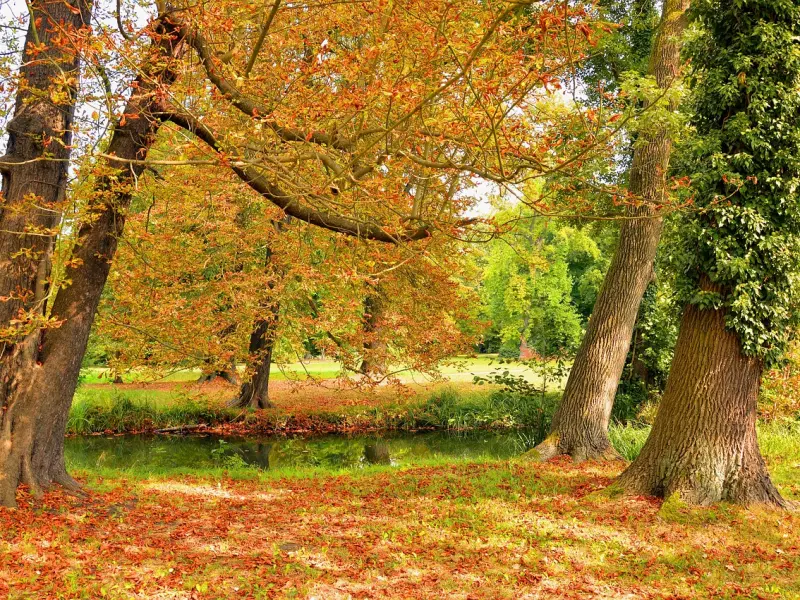 分手后犹豫不定，这三种情况必定挽回成功