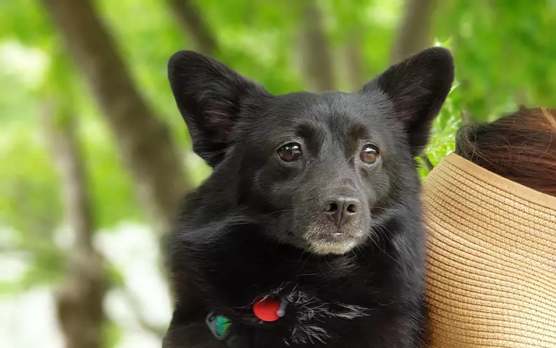 如果你还在用表白的“心态”追女生，活该被拒绝！