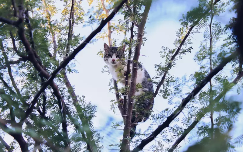 困在了友情区，如何转换成为情侣？