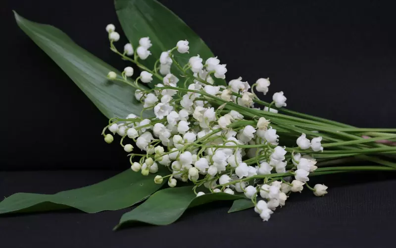 一点小事吵架分手了 不能吵这5件事