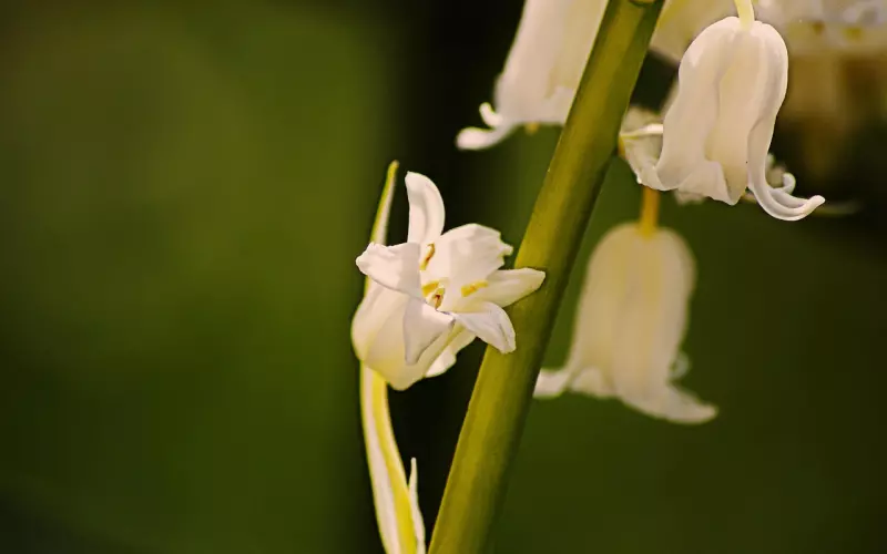 一点小事吵架分手了 不能吵这5件事