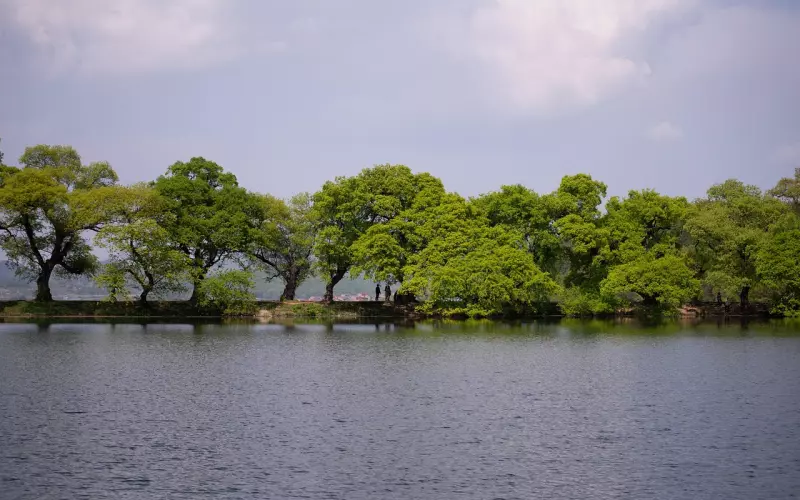 如果你因为没安全感导致分手，挽回要做到这几点
