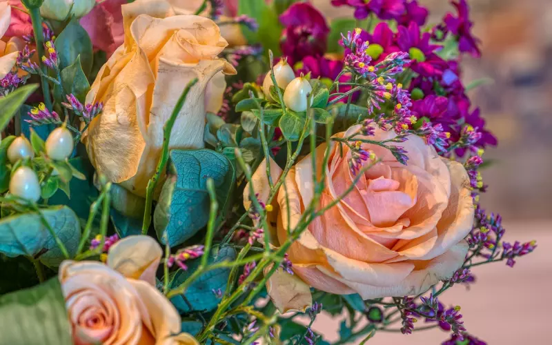 因为情人节礼物而分手，应当如何快速挽回感情？