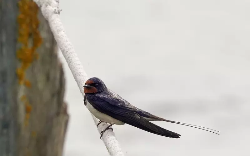 凡是能忍尽量忍，遇到委屈往肚子里吞