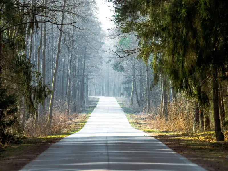 倘若你能读懂这点，挽回之路就会越来越顺
