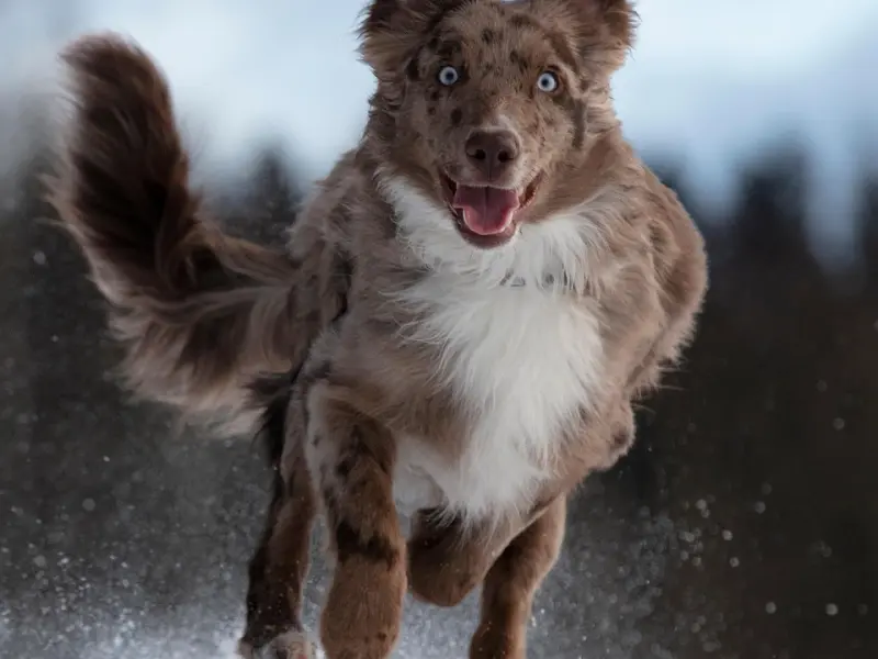 聊天不行，以后还找不找得到女朋友?