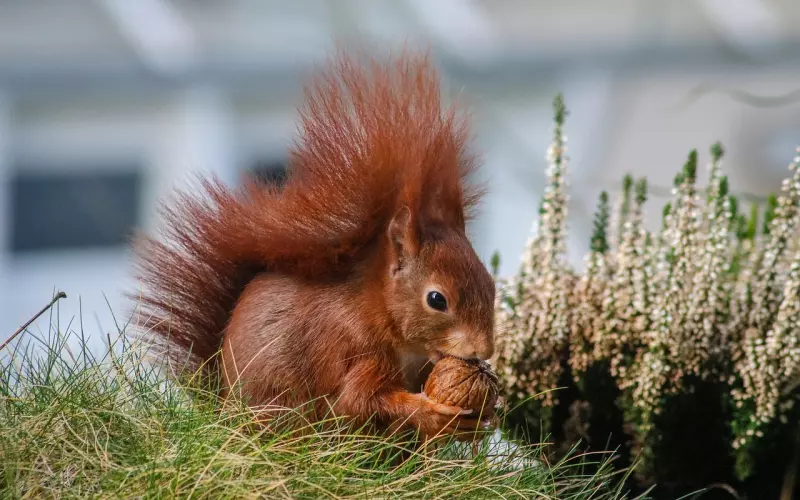 与男人相处，享受不到这些“特权”，说明你爱错了人