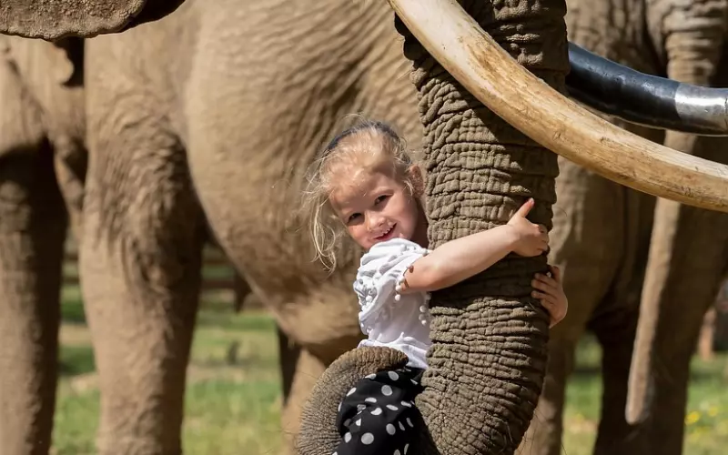连朋友都当不成的话