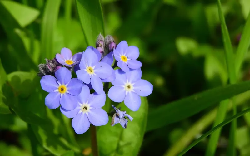 忘不掉的人，不用刻意忘记，直面再次挽回前任