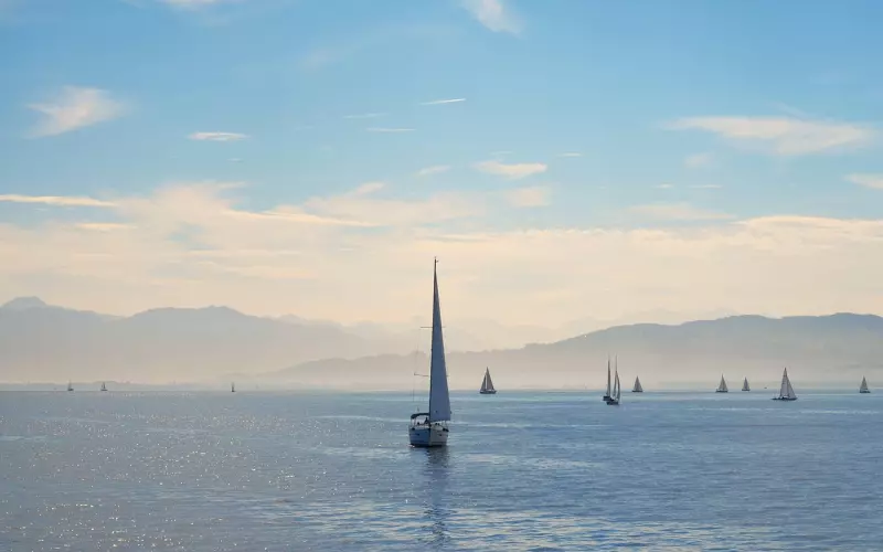 如果你现在挽回不了，怎么可以说是对方少根筋