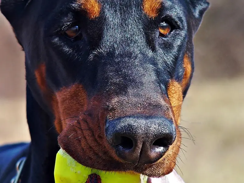 挽回的时机抓不住，你和他的联系又有何用？