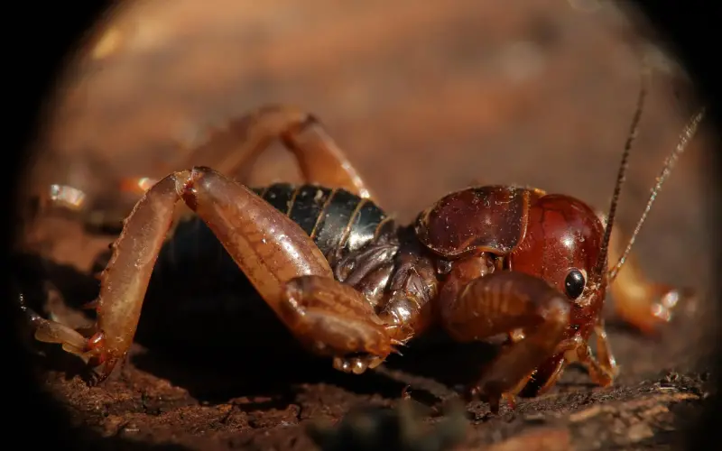 在乎一个人，是藏不住的。