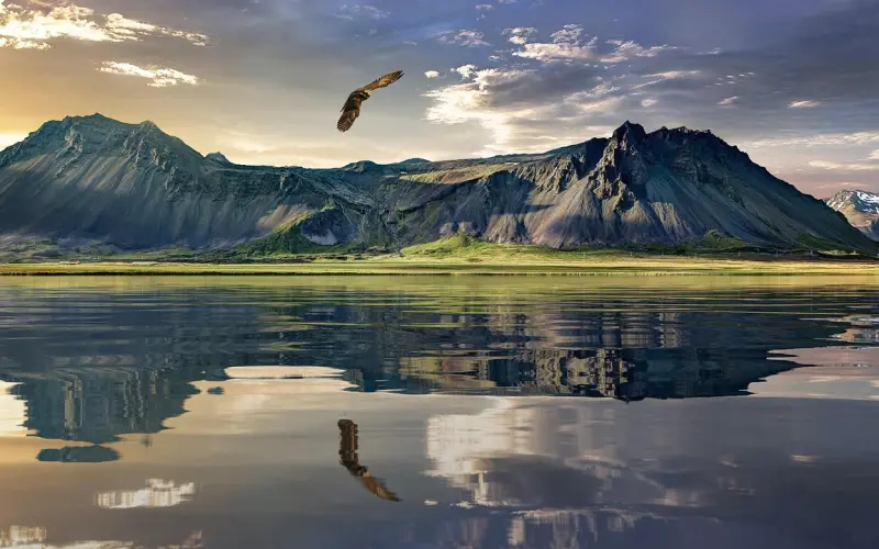 在乎多了，才会心痛！