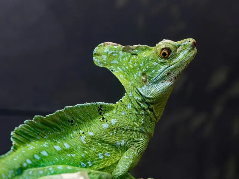 分手后用这方式和男人聊天，他不主动挽回你才怪！