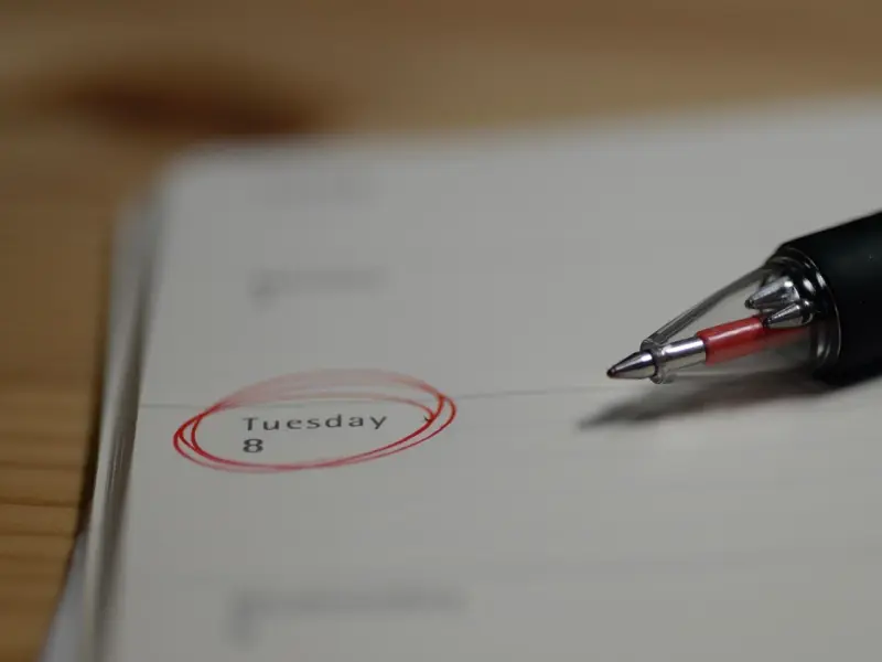 年轻时选择了安逸，年老时就要承受痛苦！