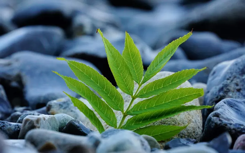 因对象缺乏安全感选择分手，应该如何弥补安全感来挽回呢？