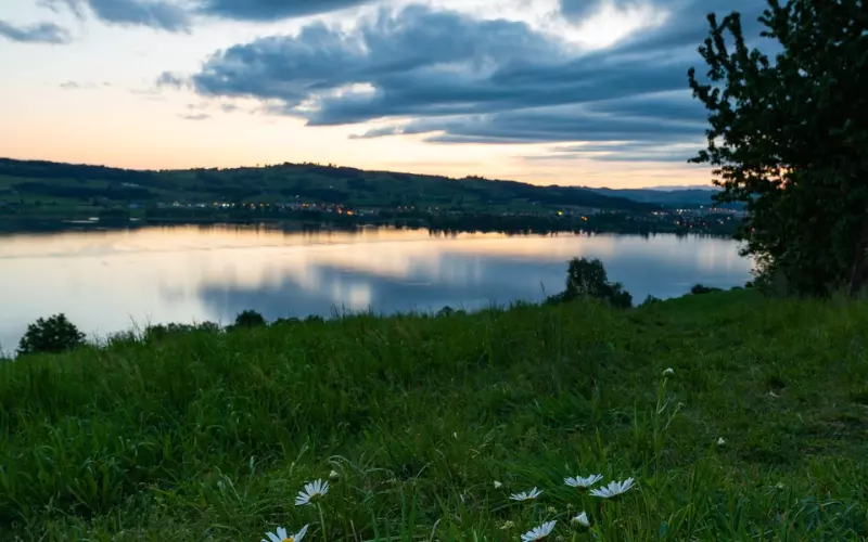 如果选择原谅该如何接纳伤害过你的伴侣？