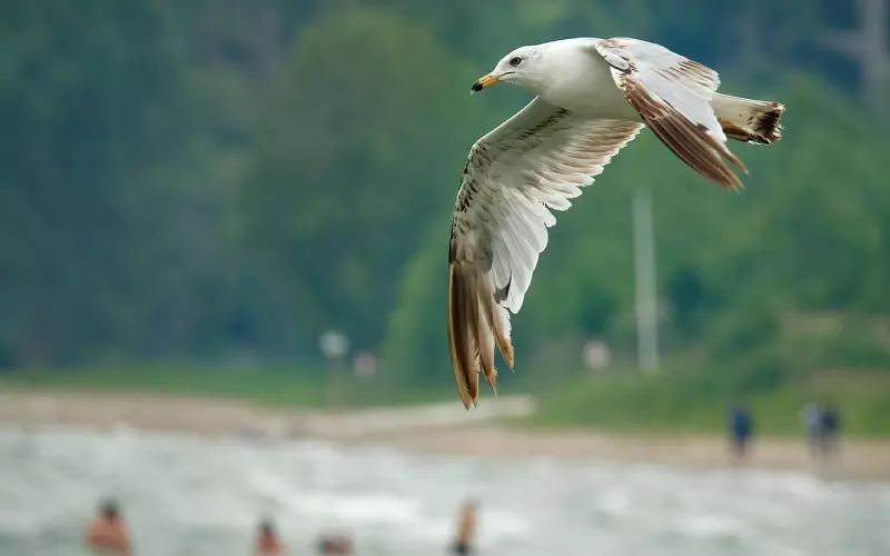 这样联系前任，前任对你的好感度会直线飙升