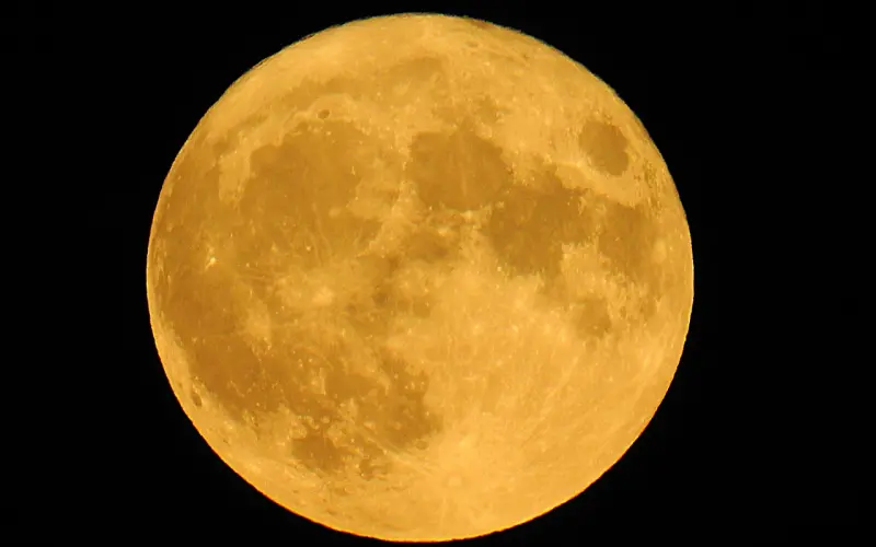 2016年如果可以放肆一回，你最想做什么？