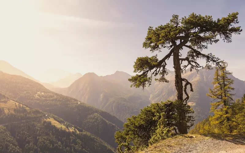 分手后再次约会，该怎么做才能挽回对方？