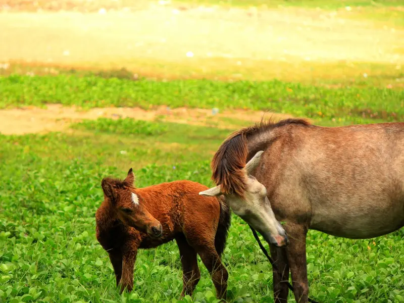 发现女友和其他男人有暧昧，情感咨询师教你怎么处理最稳妥！