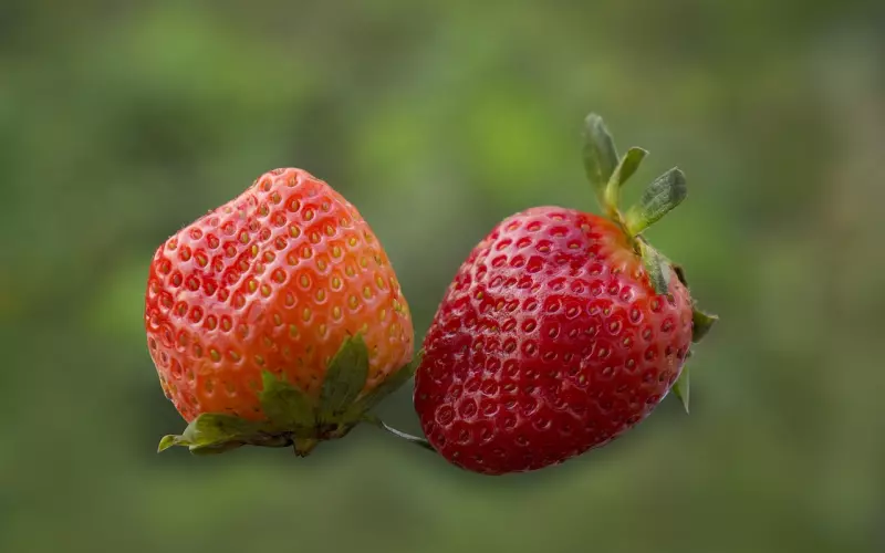 做好这三点，十个女神你能追到九个