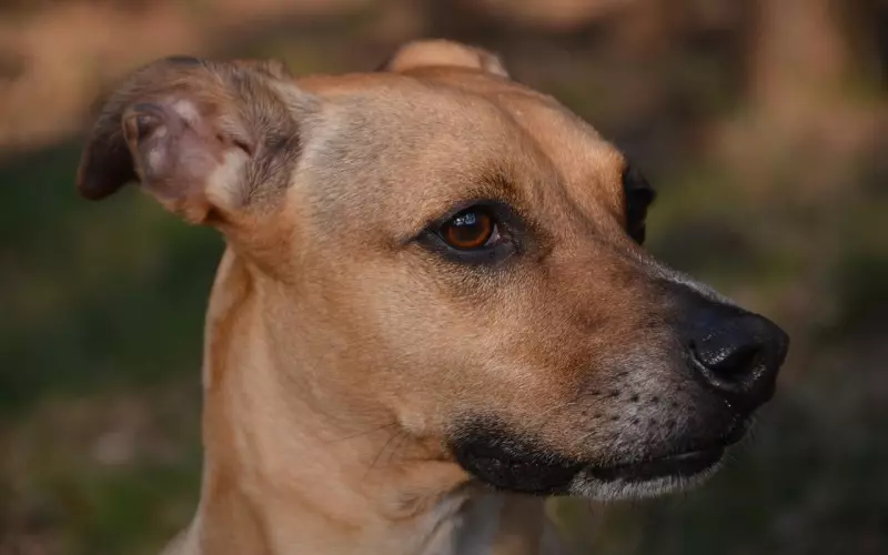 分手后这样做，男友主动回来复合