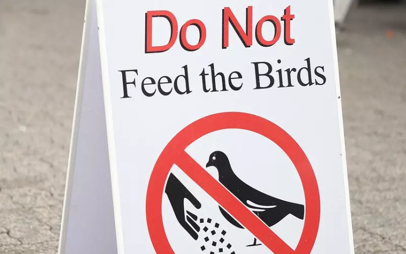 三观不合，不要凑合！