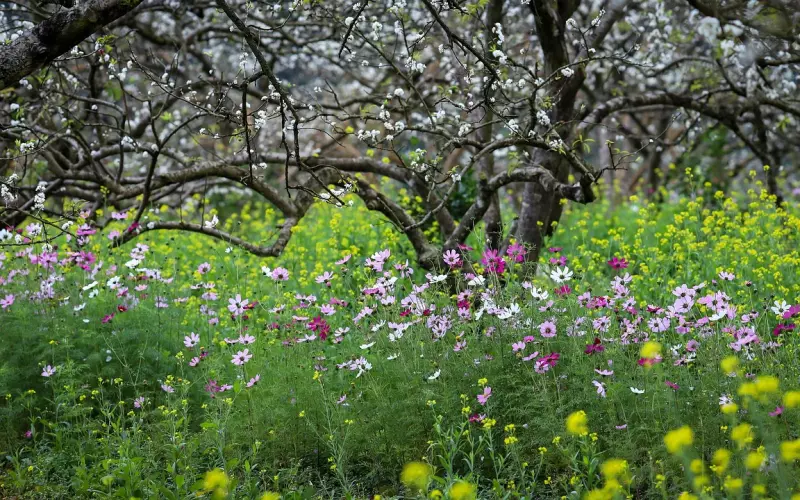 简单的还不改，那怎样你才会改