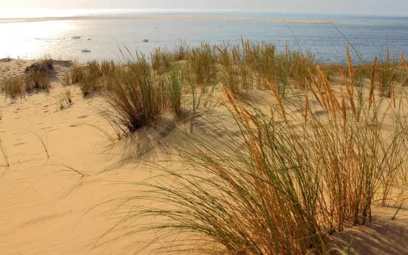 你连基本的“推拉”技巧都不懂，你拿什么来挽回？