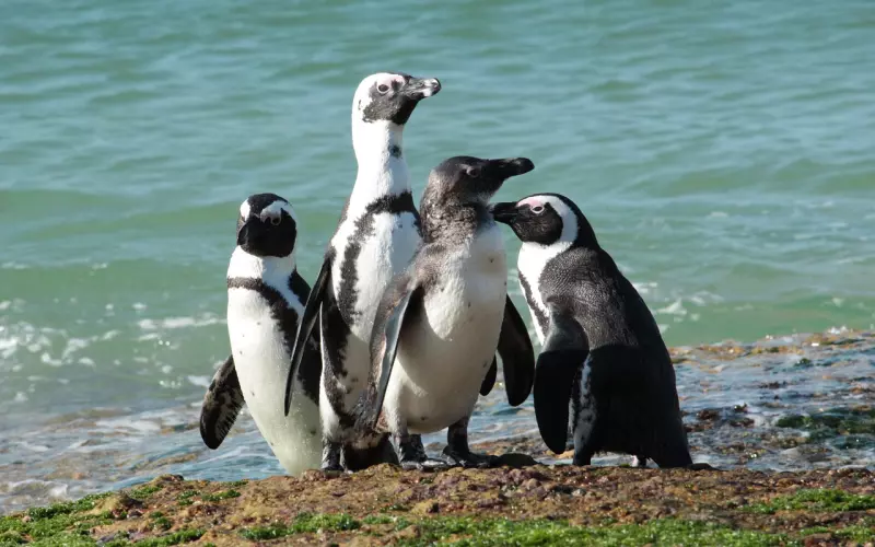 不会聊天而被女人抛弃，不懂风情又该如何挽回
