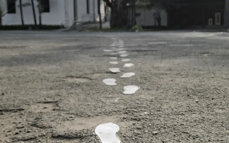 不懂珍惜，谈何拥有！