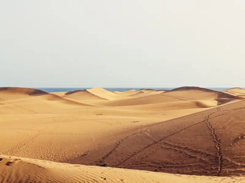 你不会谈恋爱，那只好去挽回了
